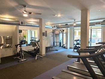 Free weights